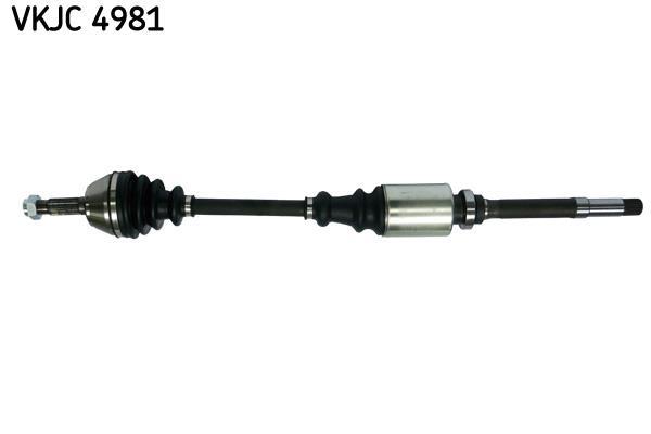 Cardan SKF ref. VKJC 4981